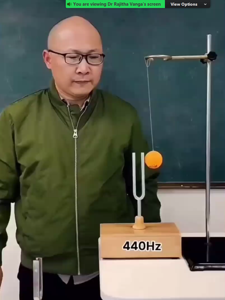 Ecommerce Designing /Development